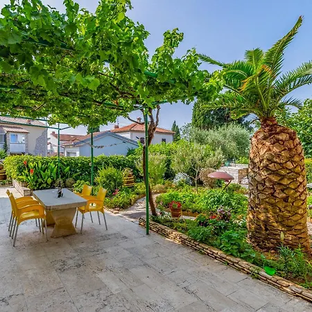 Newly Renovated With Terrace Apartment